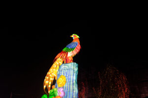 Hilton Head Lantern Parade 2026 event