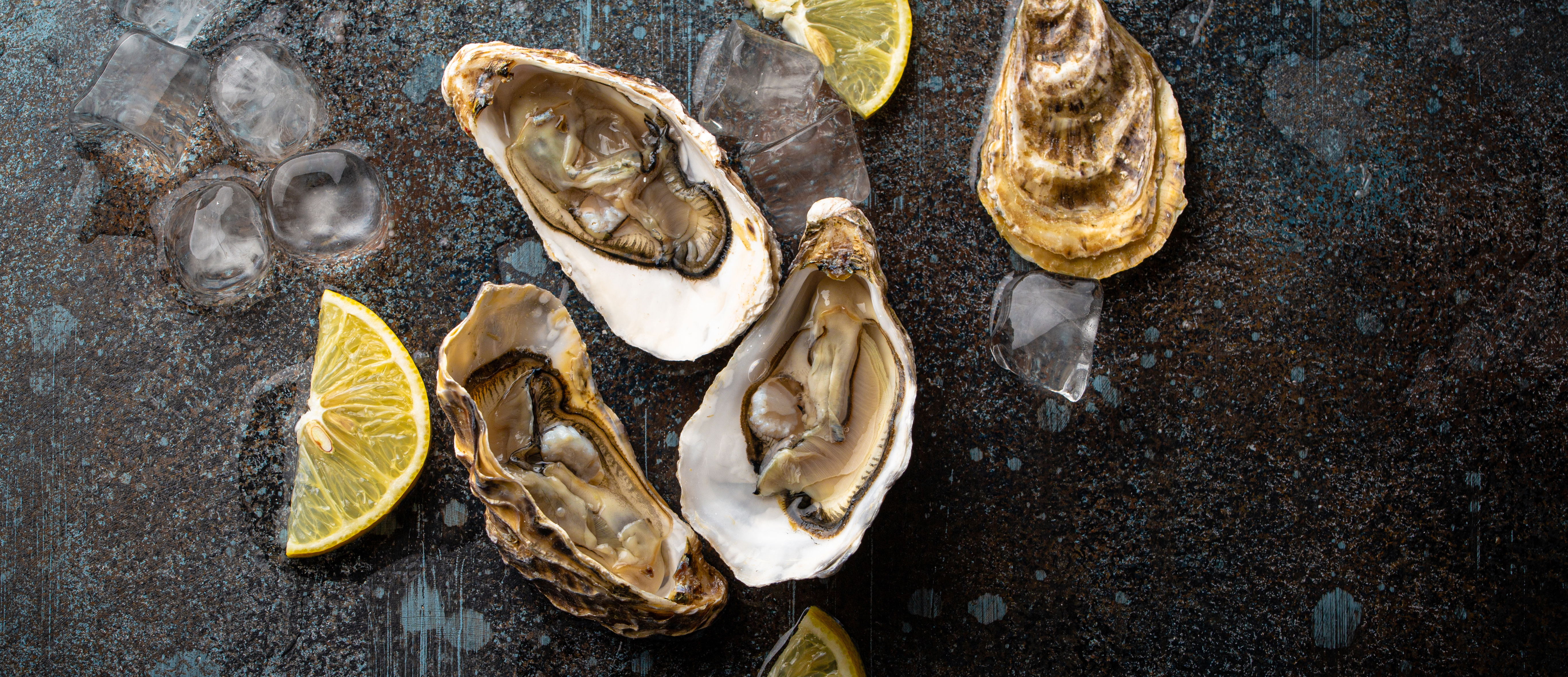 Hilton Head Oyster Festival 2026 Event