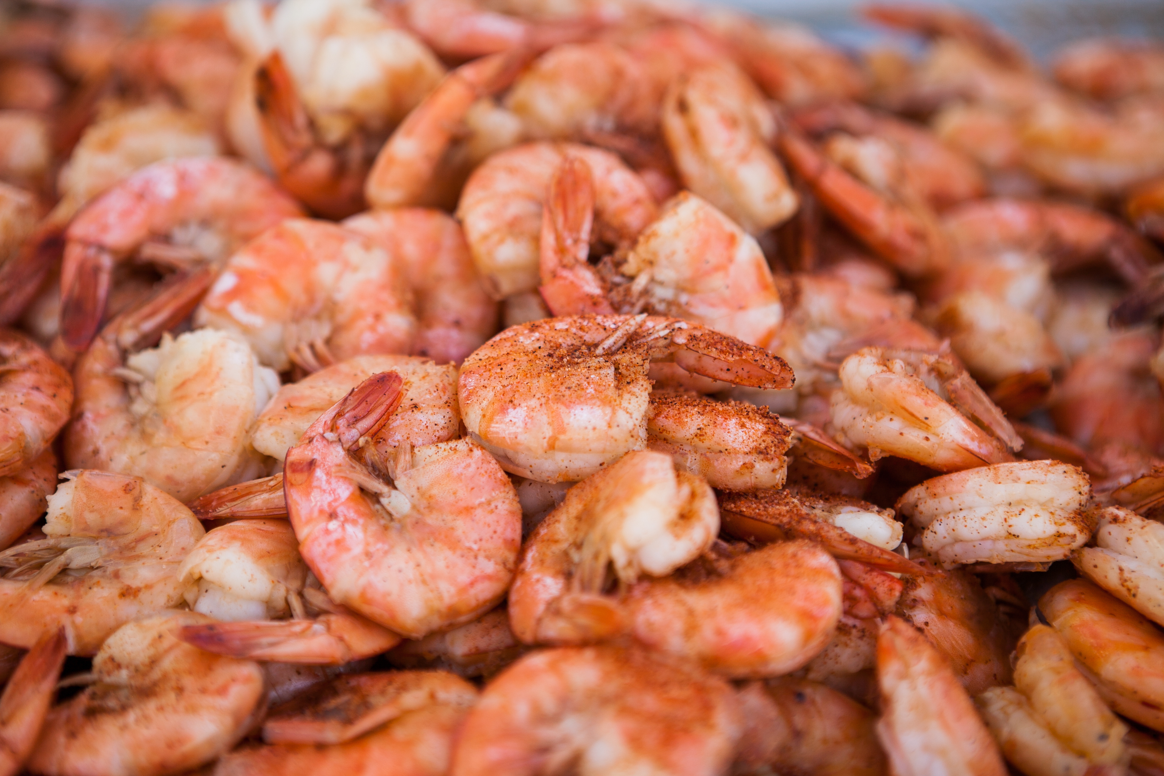 Hilton Head Island Shrimp Festival 2026 Event